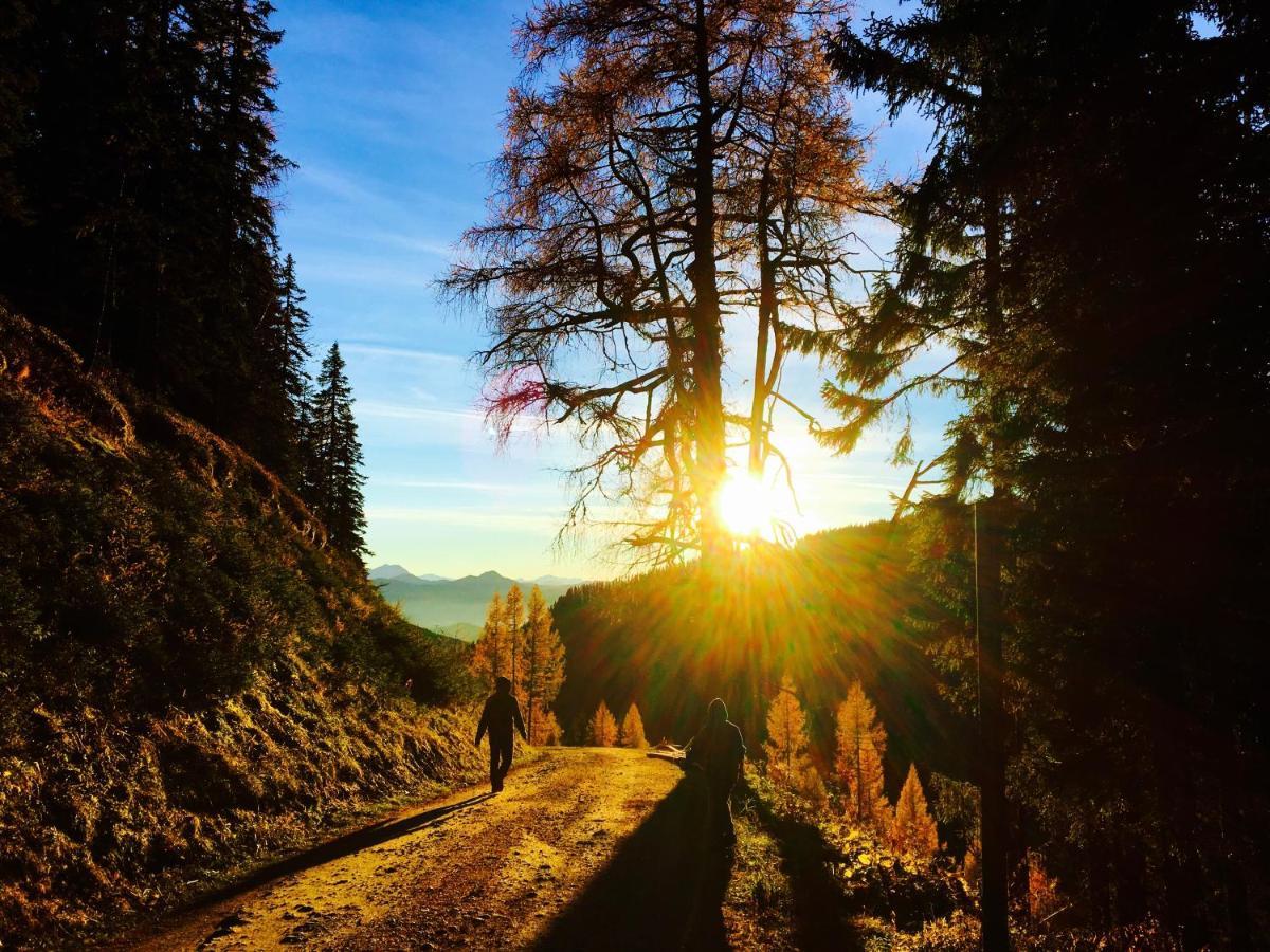 Luserblick Haus im Ennstal Buitenkant foto