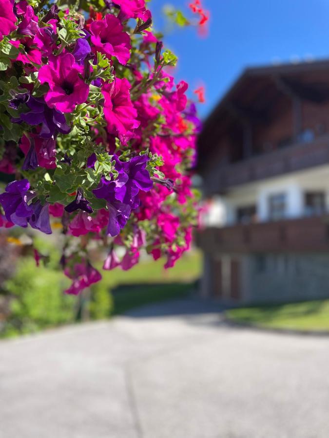 Luserblick Haus im Ennstal Buitenkant foto