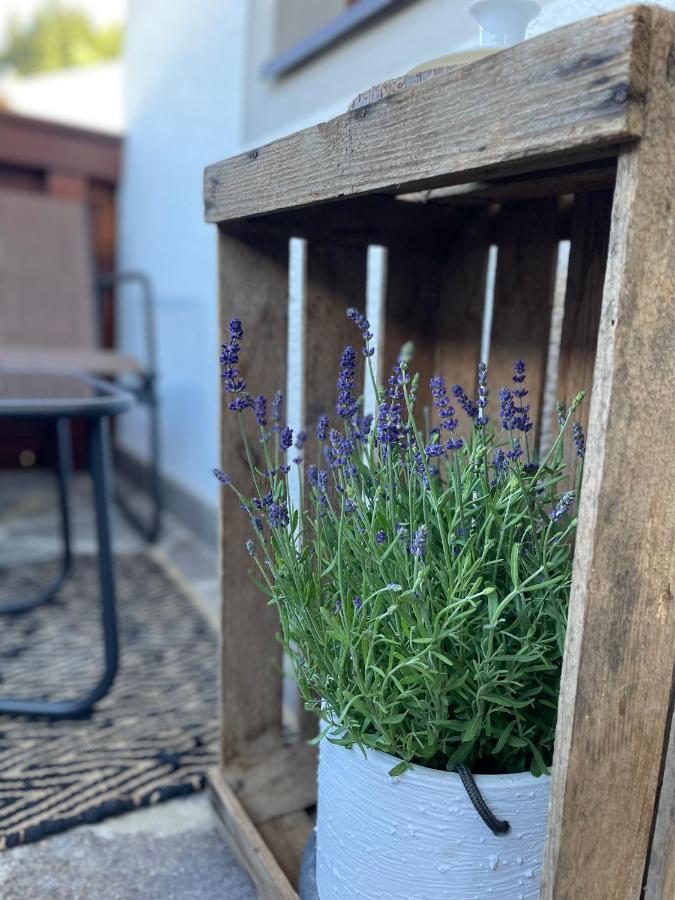 Luserblick Haus im Ennstal Buitenkant foto