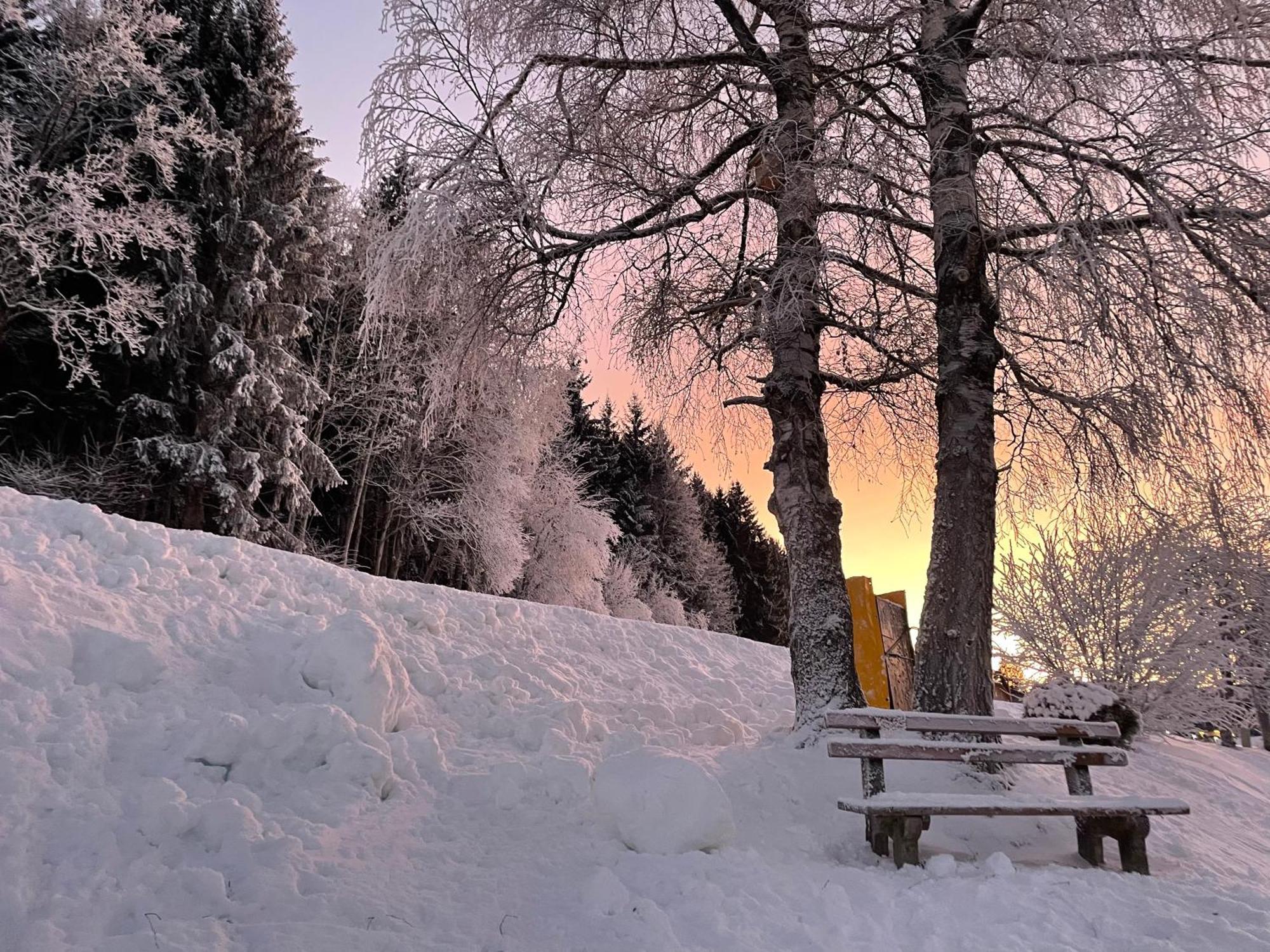 Luserblick Haus im Ennstal Buitenkant foto